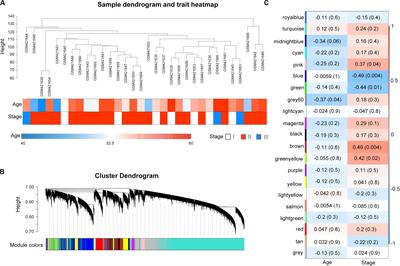 Integrated Analysis of a Risk Score System Predicting Prognosis and a ceRNA Network for Differentially Expressed lncRNAs in Multiple Myeloma